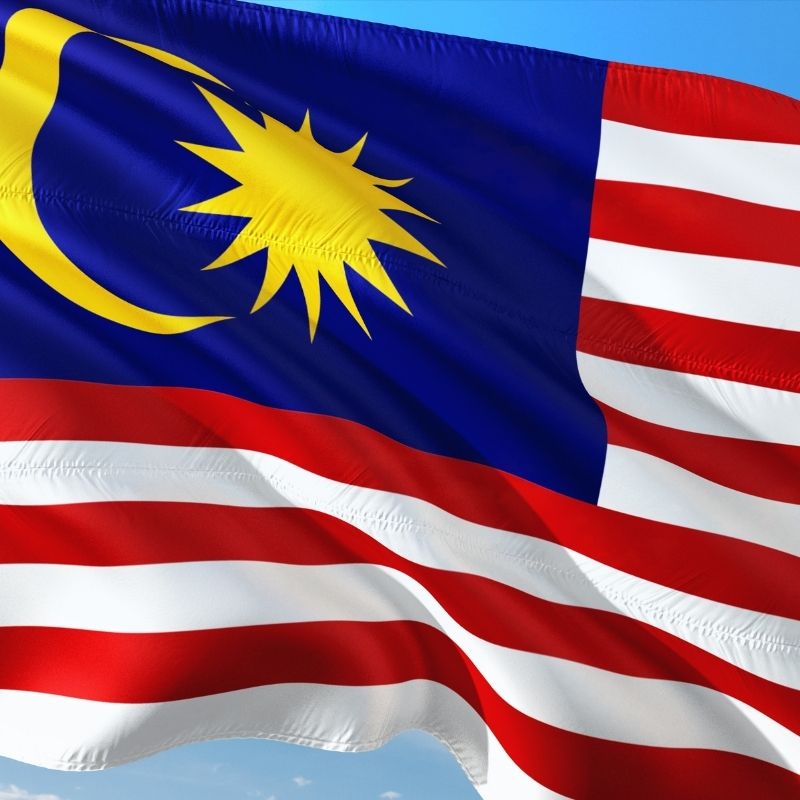 Who usually owns digital assets in Malaysia