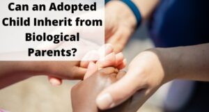 Read more about the article Can an Adopted Child Inherit from Biological Parents?