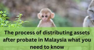 Read more about the article The process of distributing assets after probate in Malaysia: what you need to know