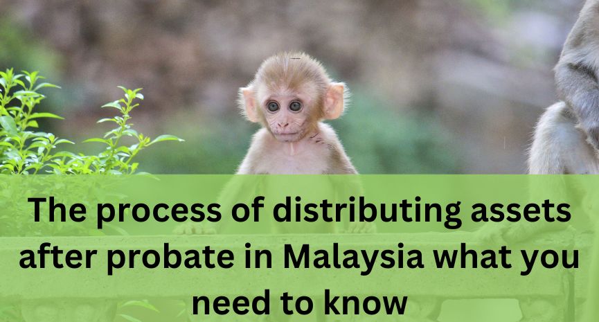 You are currently viewing The process of distributing assets after probate in Malaysia: what you need to know